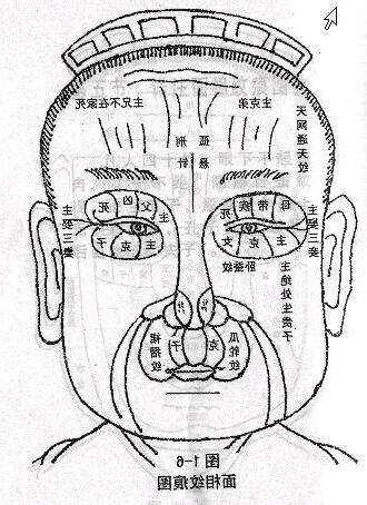 面相紋路