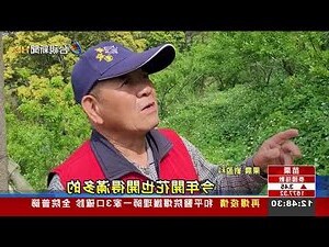 李樹種植