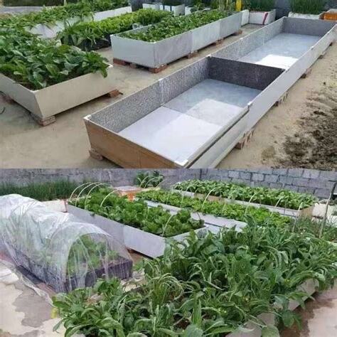 種菜容器