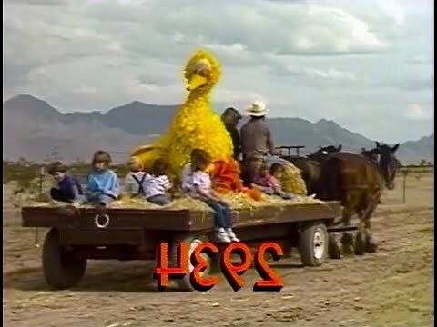 1992猴