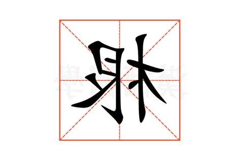 根的意思