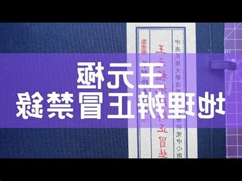 王元極