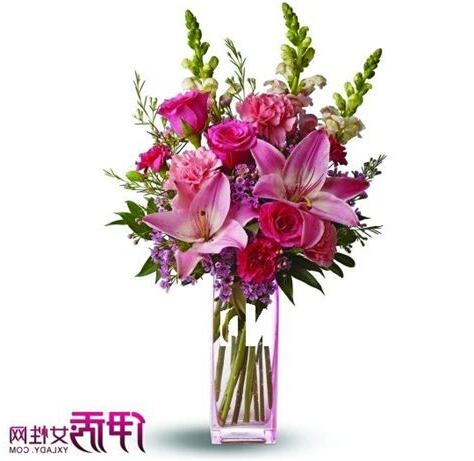 房間放什麼花