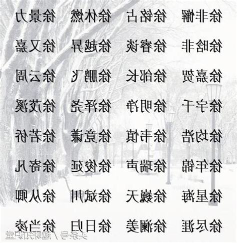 徐姓取名