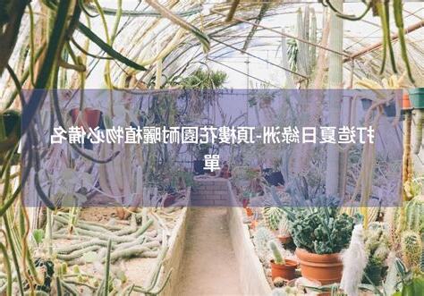 頂樓耐曬植物