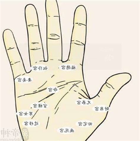 男右手掌有痣