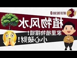家里风水摆设