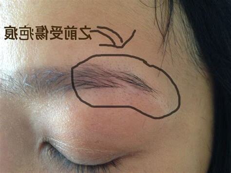 眉毛後段稀疏