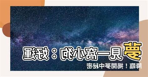夢見一窩小狗