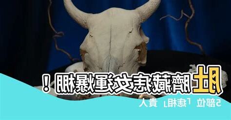 肚臍內有痣女