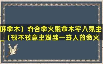 木命和火命