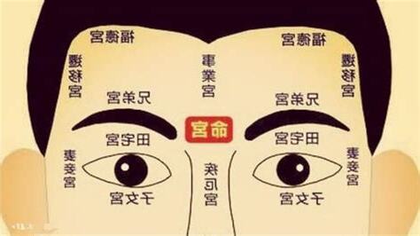 面相宮位