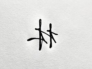 林字旁的字