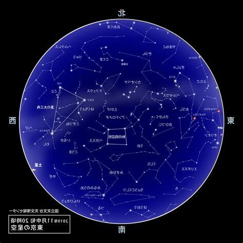 11月24星座