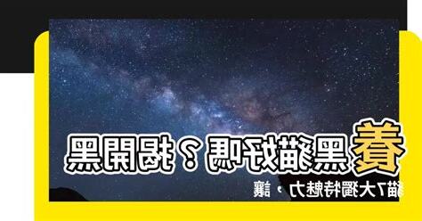 黑貓好嗎