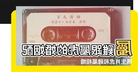 雞跟虎合嗎