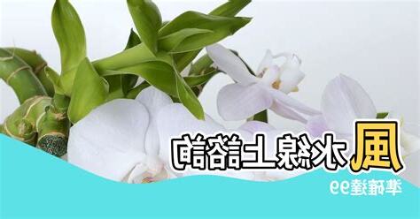 江柏樂風水好好玩