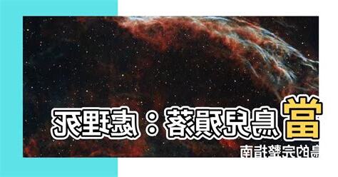 死鳥怎麼處理