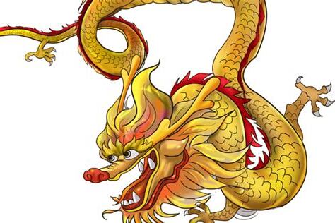 1988年属什么
