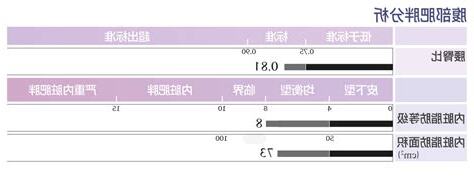 腹部肥胖分析