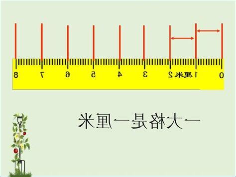 一尺是多少釐米