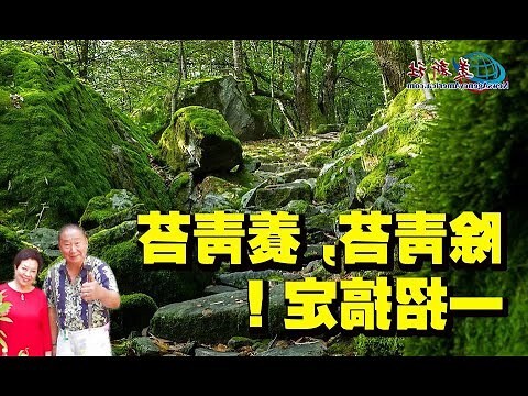 如何養青苔