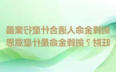 金命人適合什麼行業