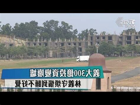 林義守媳婦