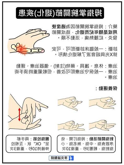 大拇指第一關節