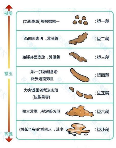 屎有泡