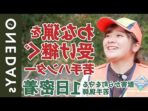 2024猪运程