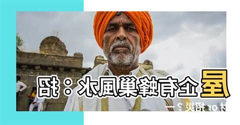 屋企有蜂巢風水