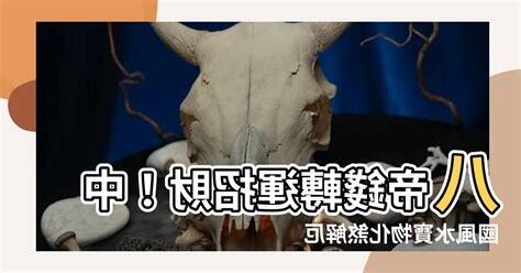 八帝錢功效