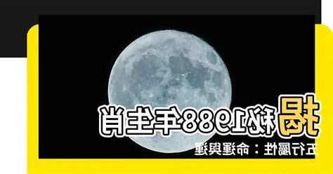 1988年五行屬什麼