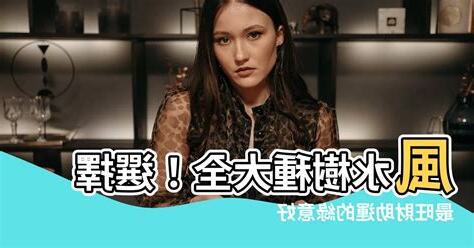 風水樹種類