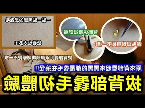 背後長毛