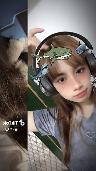 動物象徵