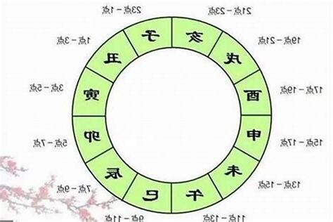 辰未日意思