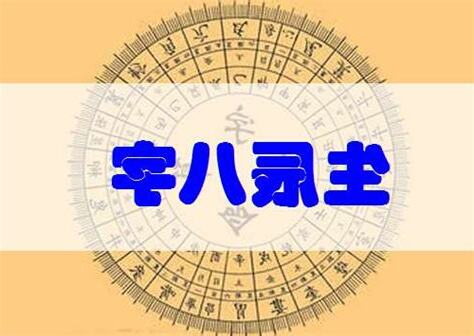 八字命名