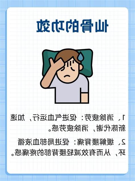 仙骨八字