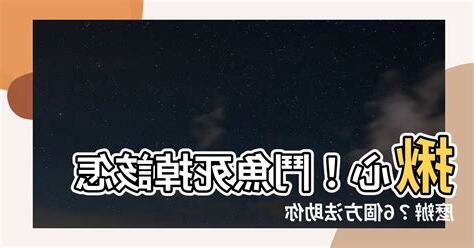 鬥魚死掉怎麼處理