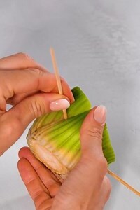窗台植物