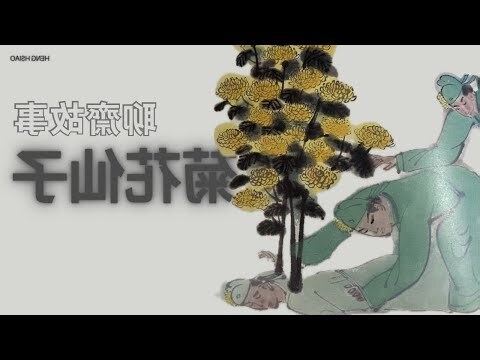 菊花仙子