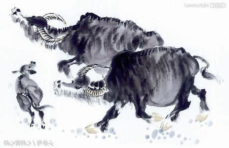 癸丑牛