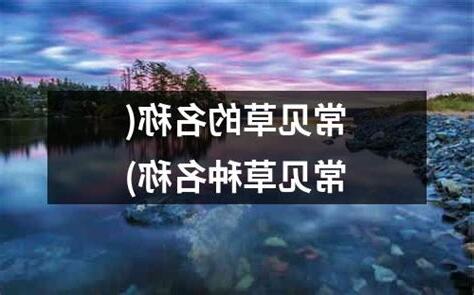 草的名字