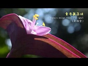 常見植物名稱