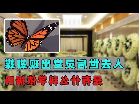 親人過世蝴蝶