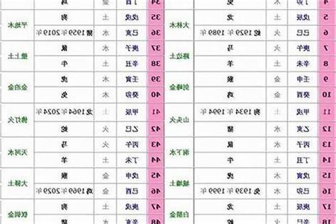 2002生肖五行