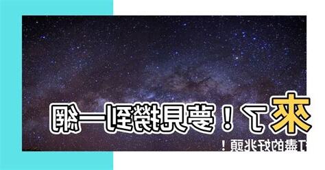 夢到撈到很多魚