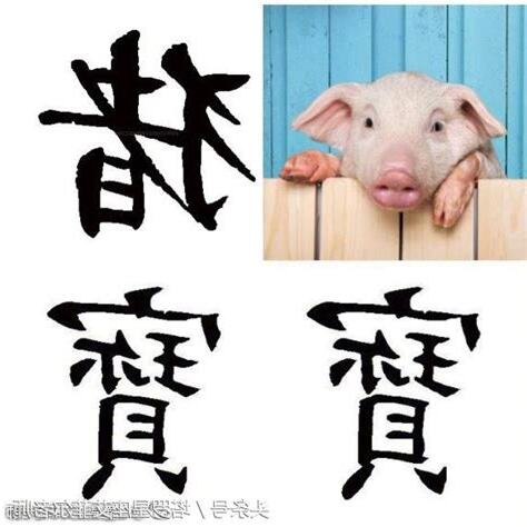 屬豬喜用字